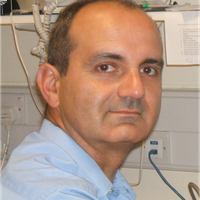 hamandi